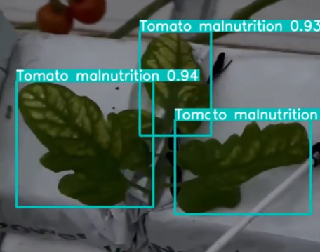 AI Video Analytic Case Study
